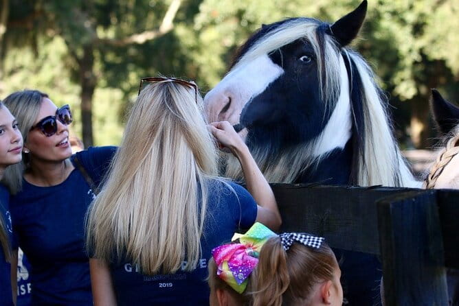 Gypsy Gold Horse Farm Tour - FAQ