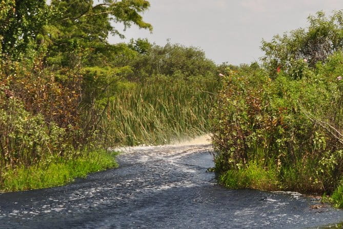 90 minute Everglades Airboat Tour near Orlando Florida - The Itinerary in Detail