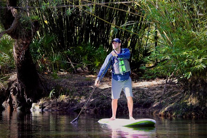 Cypress Forest: Guided Nature Kayak Eco-Tour - The Sum Up: Why Choose This Eco-Tour?