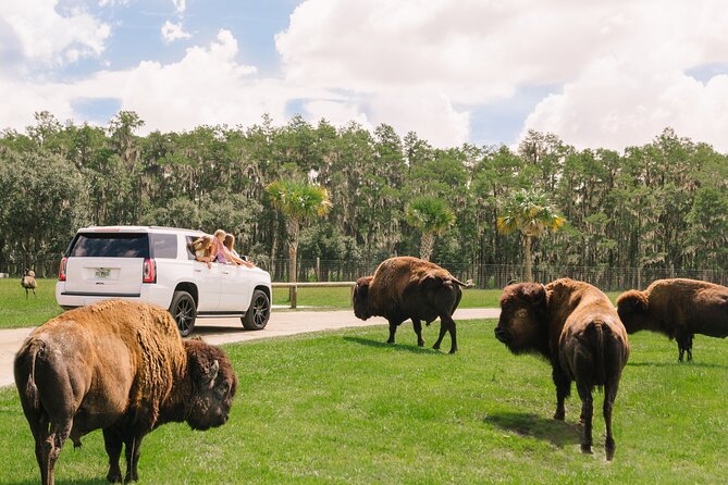 Wild Florida Drive-Thru Safari and Gator Park Admission - Who Will Enjoy This Experience?