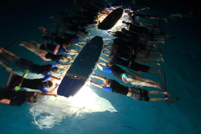 Late Night Manta Snorkel - The Experience in Detail