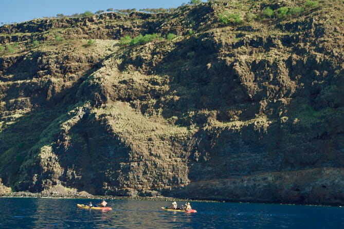 Morning Magic Kayak and Snorkel Adventure in Kealakekua Bay - Who Should Consider This Tour?