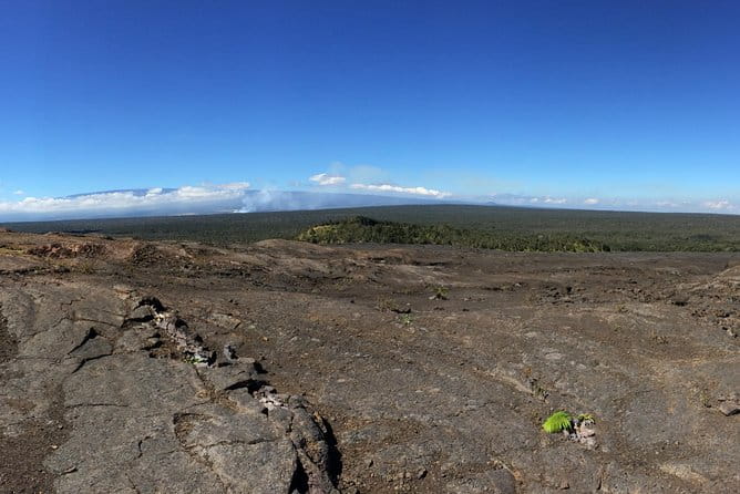 Private Tour: Hawaii Volcanoes National Park Eco Tour - Who This Tour Is Best For