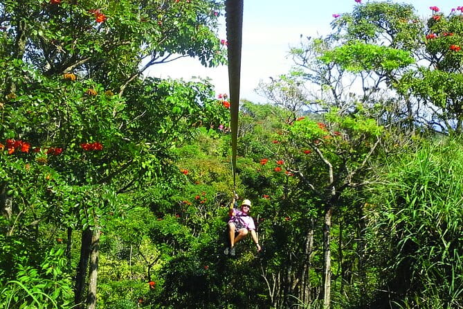 Big Island Zipline Adventure - The Experience in Detail