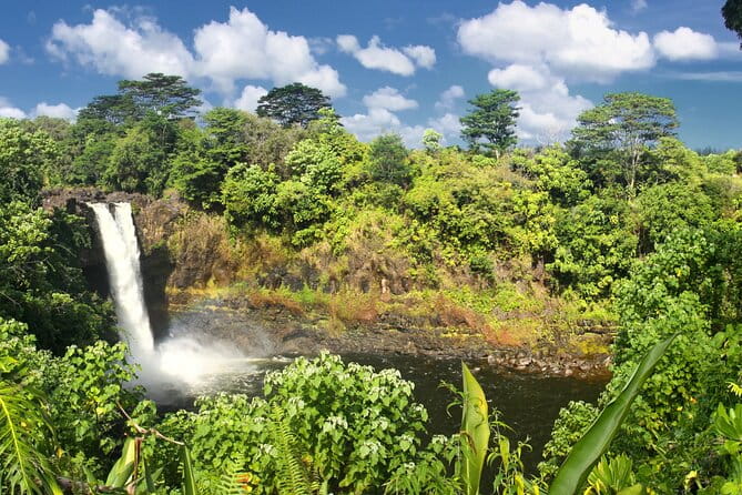 Hilo Shore Excursion: Safari Lava Caves, Falls and Highlights - Who Will Love This Tour?
