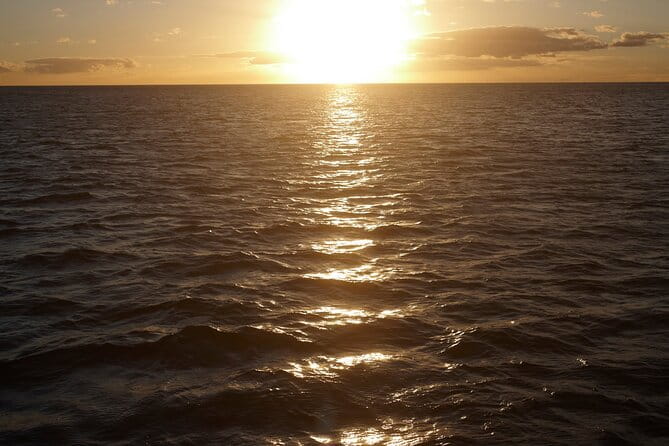 Sunset Sail Experience at Kona from Honokohau - Practical Tips for Visitors