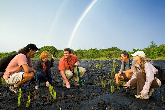 Volcano, Chocolate and Waterfalls of the Big Island - Who Will Love This Tour?