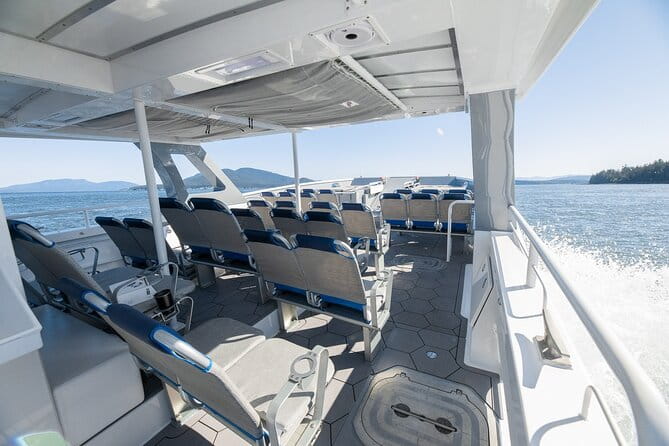 Guaranteed Dolphin and Whale Watch Tour in Kona - The Bottom Line