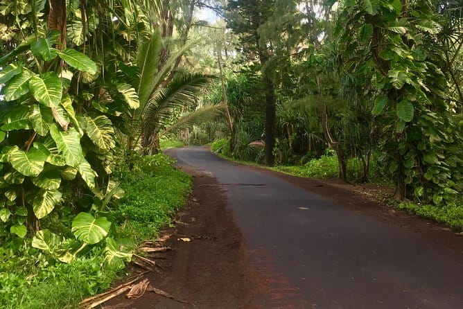 Big Island Volcano Adventure from Kona: Small Group - The Sum Up