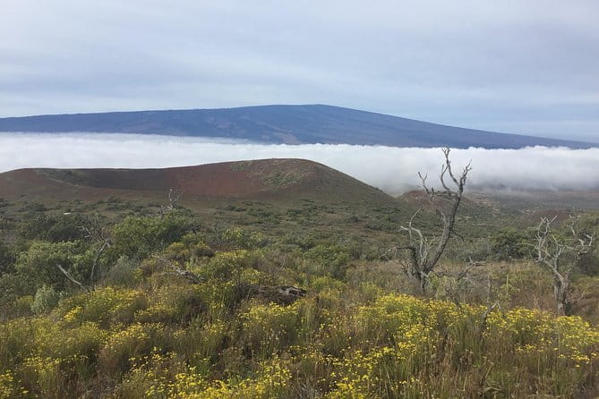 Big Island Volcano Adventure from Kona: Small Group - What Travelers Say