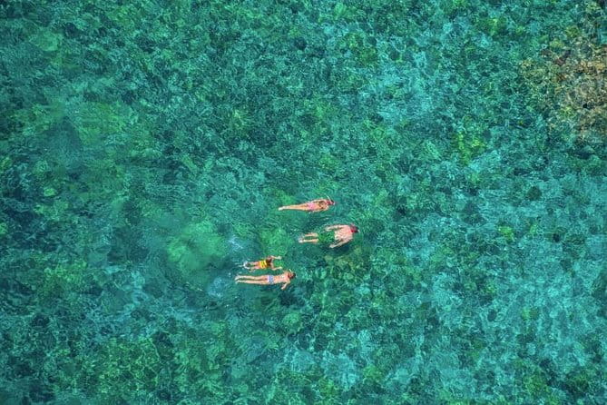 Kealakekua Bay Afternoon Snorkel: Family Fun on the Kona Coast - FAQ