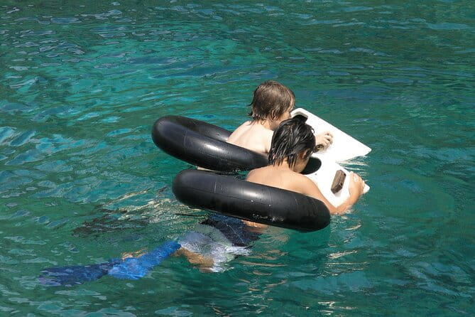 Kealakekua Bay Afternoon Snorkel: Family Fun on the Kona Coast - Authentic Traveler Perspectives
