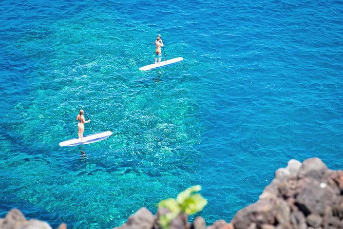 Luxury Kona Coast Snorkel Tour Including Lunch - Who Would Love This Tour?