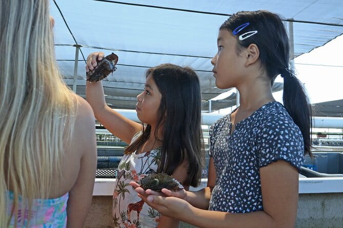 Abalone Farm Tour - Who Should Consider This Tour?