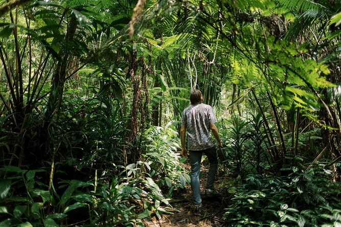Cloud Forest Sanctuary Jungle Tour - Discovering the Kona Cloud Forest Sanctuary Jungle Tour: A Detailed Look