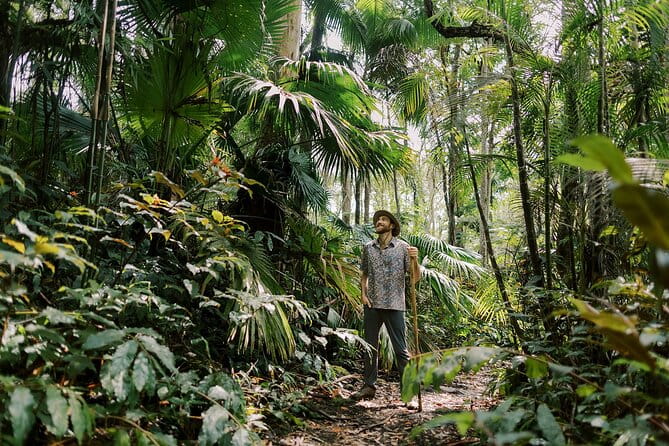 Cloud Forest Sanctuary Jungle Tour - Who Would Get the Most Out of It?