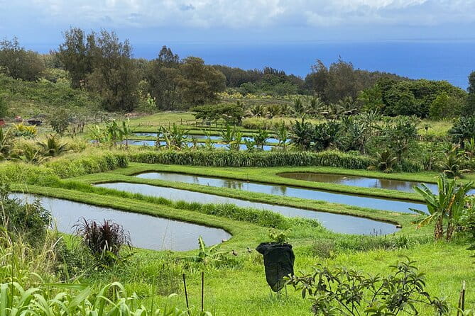 Waipi’o on Horseback: Mountain Ocean Views Working Cattle Ranch - The Practical Side
