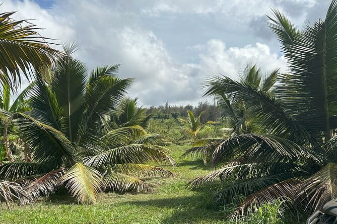 Waipi’o on Horseback: Mountain Ocean Views Working Cattle Ranch - Who Would Love This Experience?