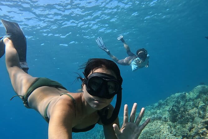 Captain Cook Reef Snorkeling of Kealakekua Bay - Practical Tips for Travelers