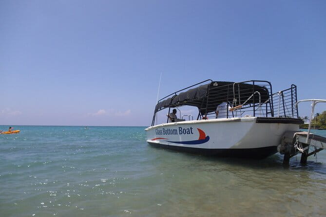 Glass-Bottom Boat Cruise from Waikoloa - Who Will Love This Tour