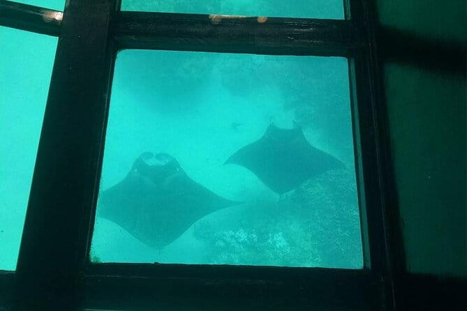 Glass-Bottom Boat Cruise from Waikoloa - The Value Proposition