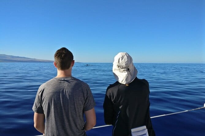 Wake Up With the Whales Cruise from Anaeho'omalu Bay - FAQs