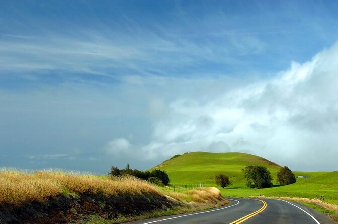 Big Island Kohala Zip and Dip Tour from Kona - Key Points
