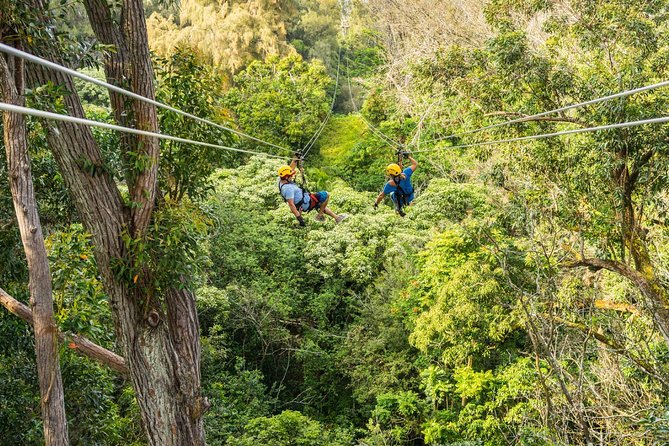 Big Island Kohala Zip and Dip Tour from Kona - Exploring King Kamehamehas Halawa Lands and Ancient Sites