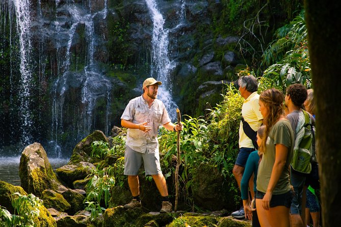 Big Island Kohala Zip and Dip Tour from Kona - Cost and Value: Is It Worth It?
