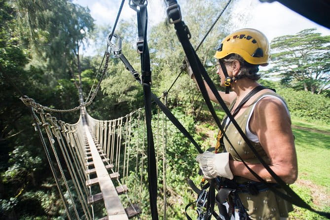 Big Island Kohala Canopy Zipline Adventure - Safety and Comfort