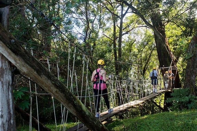 Big Island Kohala Canopy Zipline Adventure - Cost-Value Analysis