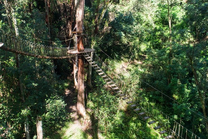 Big Island Kohala Canopy Zipline Adventure - Visuals and Overall Experience