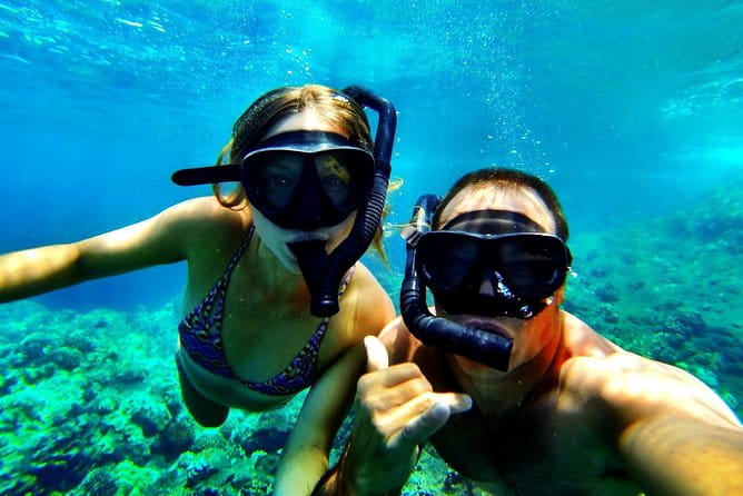 Deluxe Morning Snorkeling Adventure - The Marine Life: What You Might See
