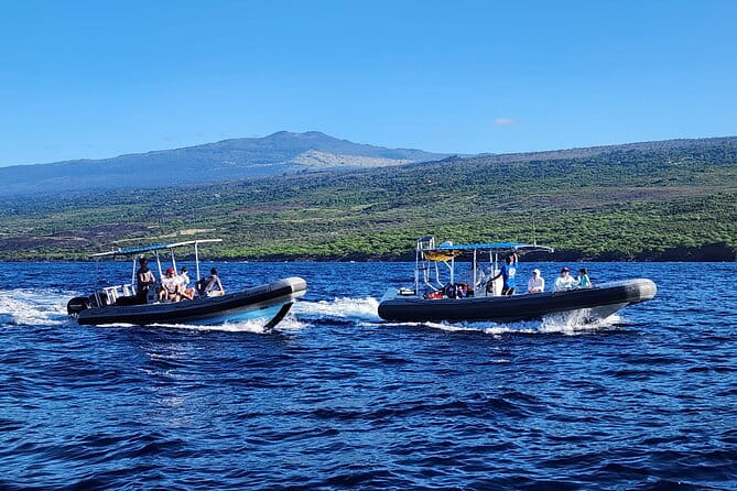 Manta Ray Night Snorkel at Kona, Big Island - Final Thoughts: Who Should Consider This Tour?