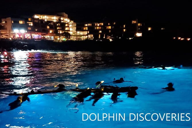 Manta Ray Night Snorkel at Kona, Big Island - FAQ: Your Common Questions Answered