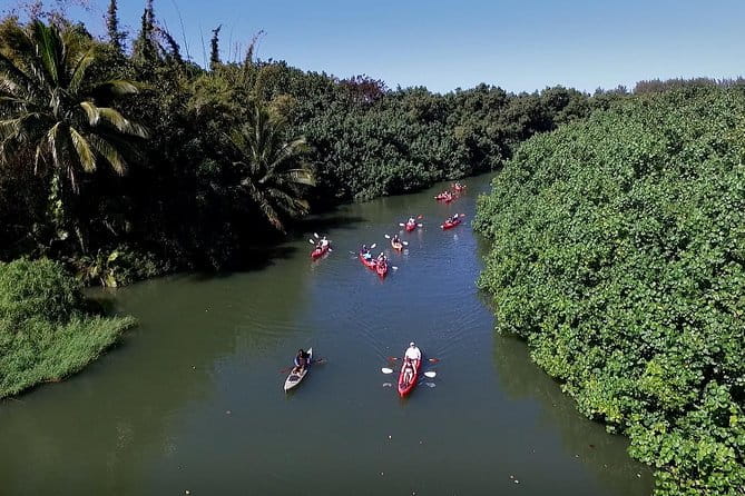 Hanalei Bay Morning Kayak and Snorkel Tour - Who Should Consider This Tour?