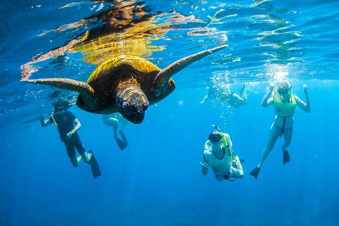 Kauai's Ultimate South Island Zodiac Boat Snorkel Adventure - Final Thoughts