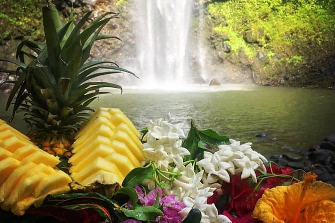 Wailua River & Waterfalls Kayak Tour: Expert-Guided Adventure - Authentic Experiences and Authentic Reviews