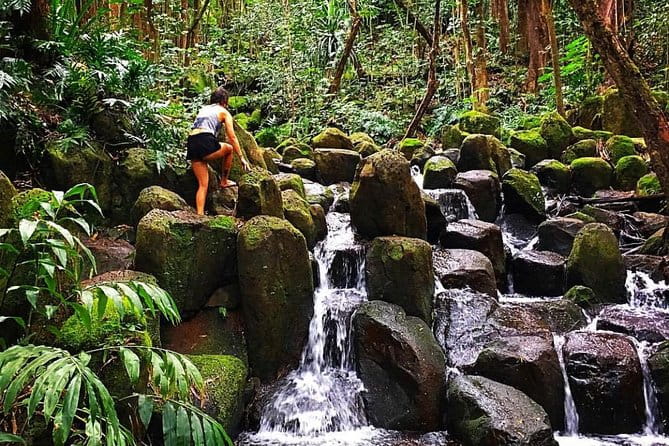 Wailua River & Waterfalls Kayak Tour: Expert-Guided Adventure - FAQ