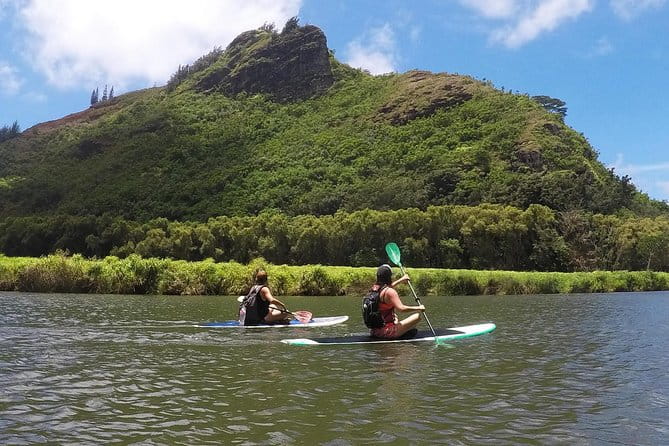 Wailua River & Waterfalls Kayak Tour: Expert-Guided Adventure - The Sum Up