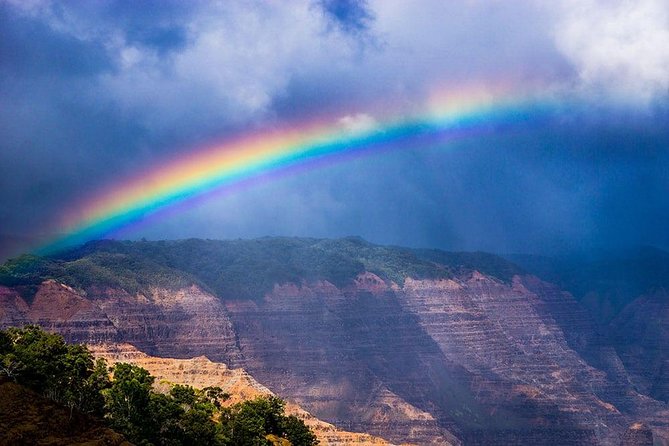 Kauai Waimea Canyon and Koke'e Tour - Is This Tour Worth It?