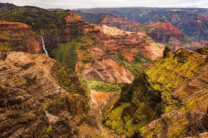 Kauai Waimea Canyon and Koke'e Tour - What Could Be Better