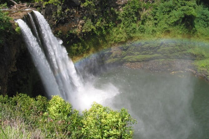 Best Kauai Northeast, Fern Grotto River Cruise & Lighthouse Tour - Transportation and Small Group Experience