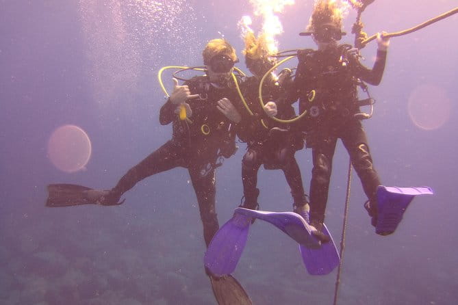 Kauai's Ultimate Discover Scuba Dive - OCEAN EXPERIENCE (1 Tank Dive) - The Cost and Why it’s Worth It