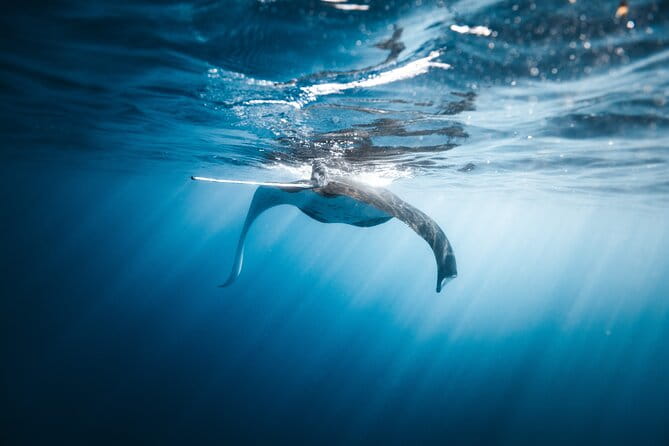 'Imiloa Express Nā Pali Snorkel Tour - Who Will Love This Tour?