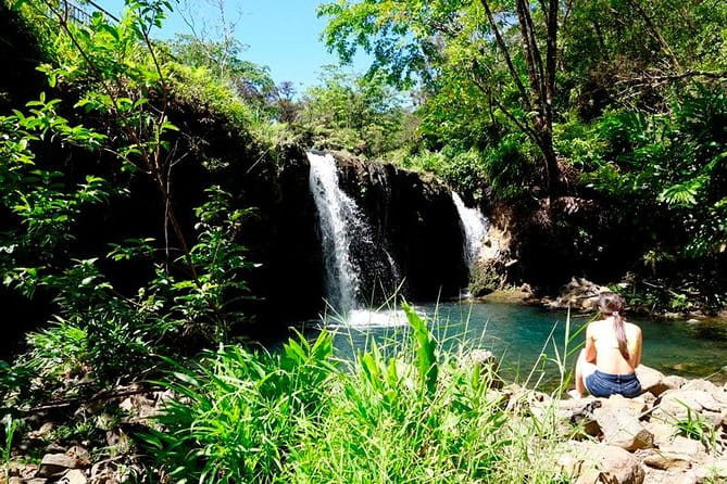 Road to Hana in Mercedes Van: Waterfalls and Black Sand Beach - The Food and Comfort