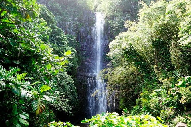 Road to Hana in Mercedes Van: Waterfalls and Black Sand Beach - FAQ