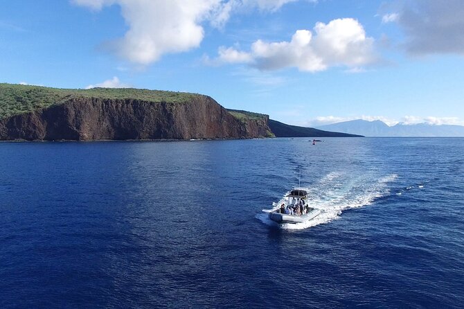 Maui to Lanai Semi-Private Eco Raft Snorkel & Dolphin Tour - The Experience in Depth