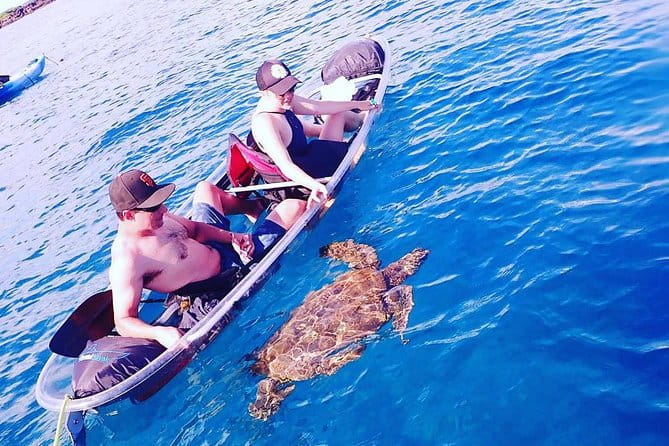 Clear Bottom Kayak and Snorkel Tour at Turtle Town, Makena - FAQ: Your Questions Answered