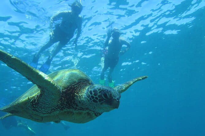 Clear Bottom Kayak and Snorkel Tour at Turtle Town, Makena - Detailed Breakdown of the Experience